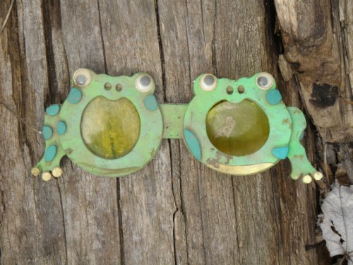 goofy frog sunglasses, March 2013