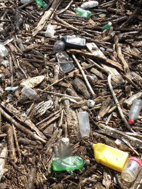 plastic trash and driftwood, March 2013