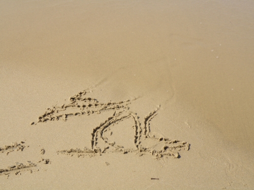 partly erased sand drawing, March 2013