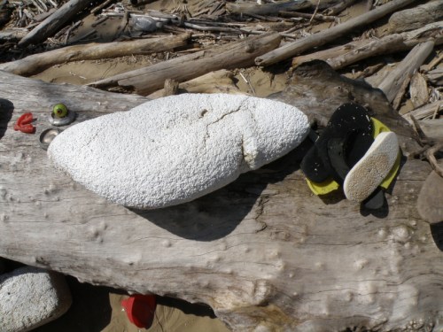 found piece of polystyrene before it became a fish, March 2013