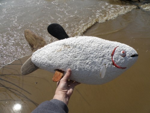 Styro-carp facing right, March 2013