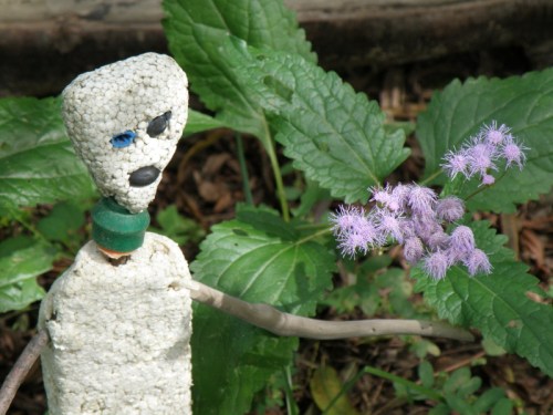 Styrosian with purple flowers, March 2013