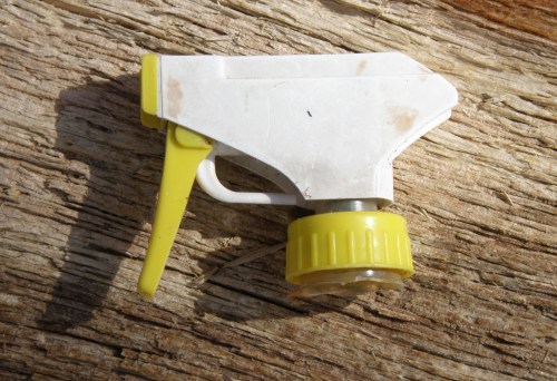 another yellow and white trigger, March 2013