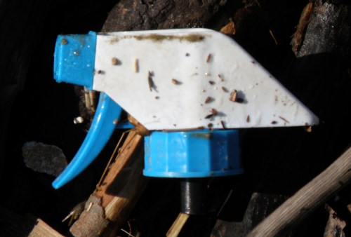 another blue and white trigger, March 2013