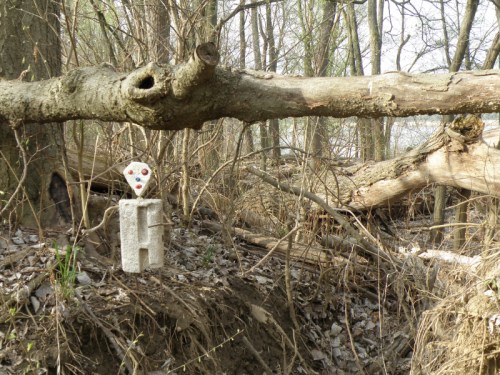 Sauger Man, under a tree trunk, Falls of the Ohio, April 2013