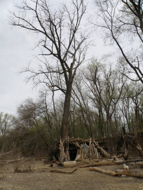 cottonwood tree party hangout, Falls of the Ohio, April 2013