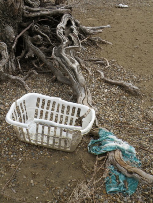 willow roots, plastic laundry basket, and clothing item, April 2013