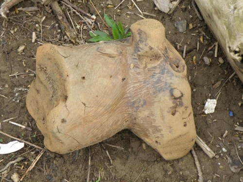 foam deer head archery target, April 2013