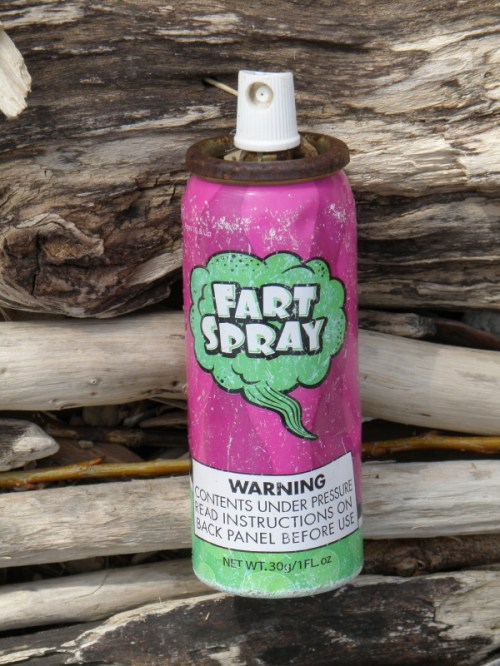 tiny aerosol can of fart spray, April 2013