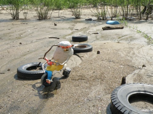 The Triker clips the tire, May 2013