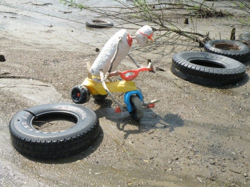 The Triker up on two wheels, May 2013