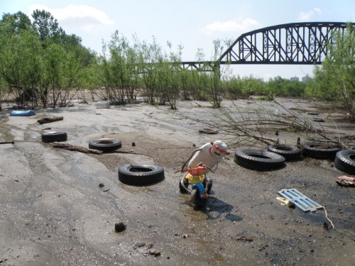 The Triker recovers his balance, May 2013