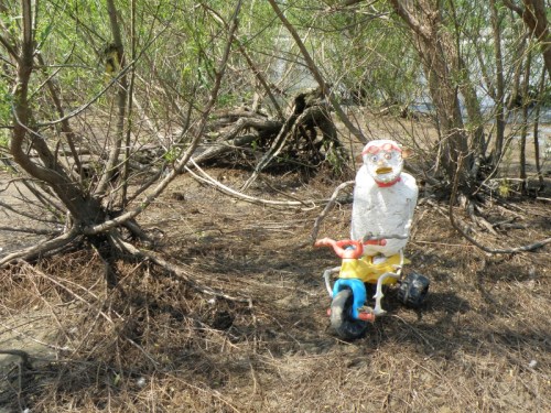 The Triker recovers his breath, May 2013