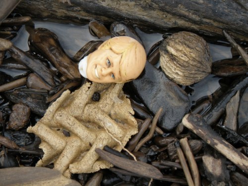 "Ken?" doll head and walnut, May 2013