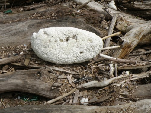 Styro-body of destroyed Flood Brother, May 2013