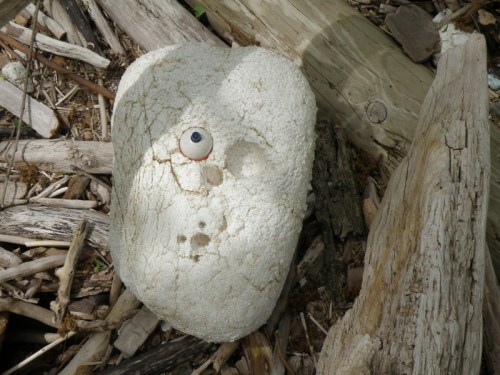 Flood Brother head, May 2013
