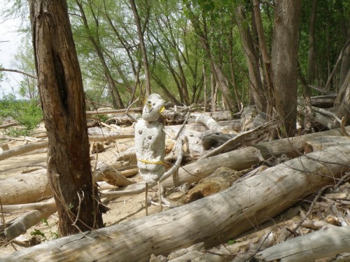 Into the light, May 2013