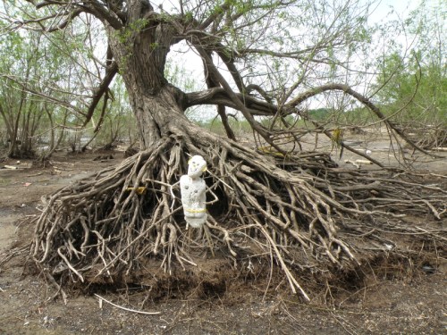 Polystyrene Person among willow roots, May 2013