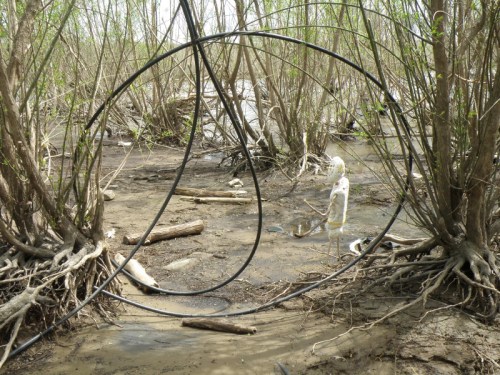 alternate view of figure with plastic cable in the trees, May 2013