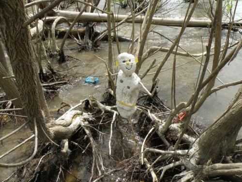 figure among water and willow roots, May 2013