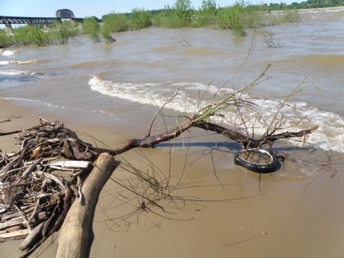 Falls of the Ohio, looking east, May 2013