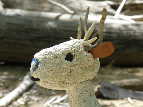 Styrobuck ,detail, head facing left, May 2013