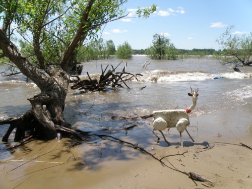 Styrobuck at the river, May 2013