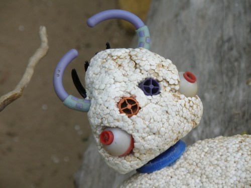 Head of Giant Driftwood Spider, May 2013