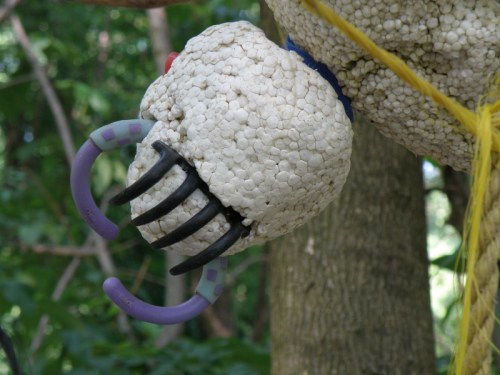 lower jaws of Giant Driftwood Spider, May 2013