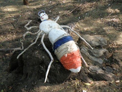 Giant Driftwood Spider on a stump. May 2013