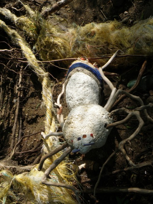 Giant Driftwood Spider in its lair, May 2013