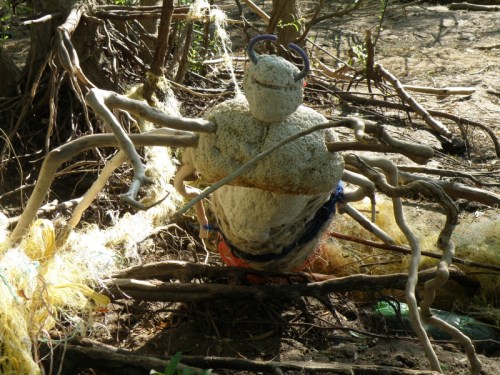 Giant Driftwood Spider attack!, May 2013