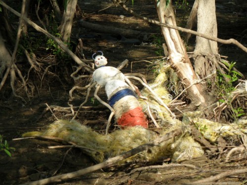 Great Driftwood Spider in yellow silk lair, May 2013
