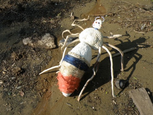 Giant Driftwood Spider, June 2013
