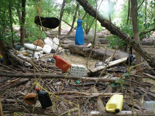 bycatch composition, June 2013