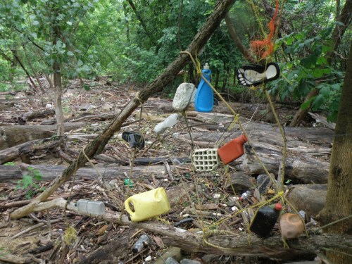 Giant Driftwood Spider web with junk, June 2013