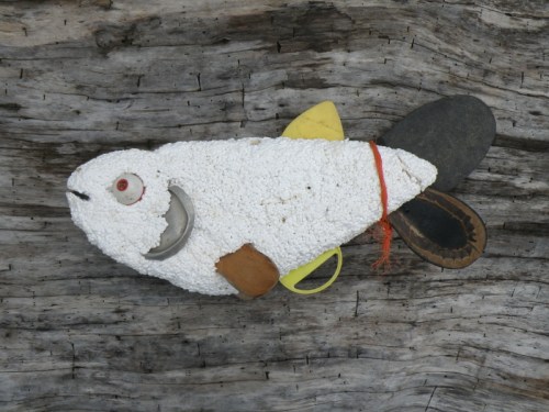 Yellow-fin Carp, facing left, June 2013