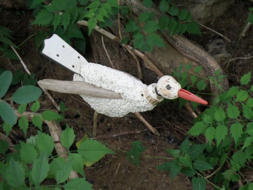 Indiana Rail, Falls of the Ohio, June 2013