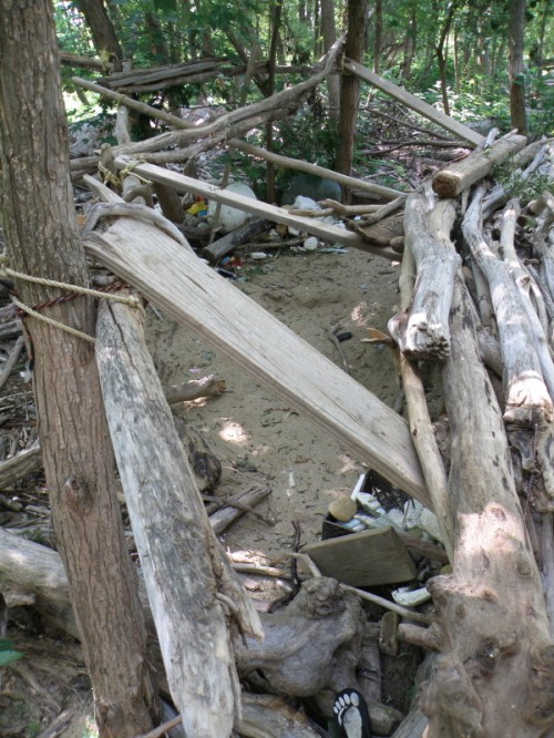 My site with evolving structure, Falls of the Ohio, July 2013