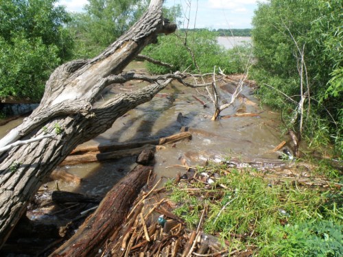 Rising Ohio River at the Falls of the Ohio, July 2013