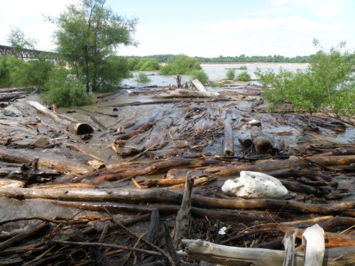 High water at the Falls of the Ohio, July 2013