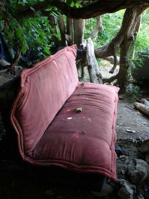 red couch under the cottonwood tree, Aug. 2013