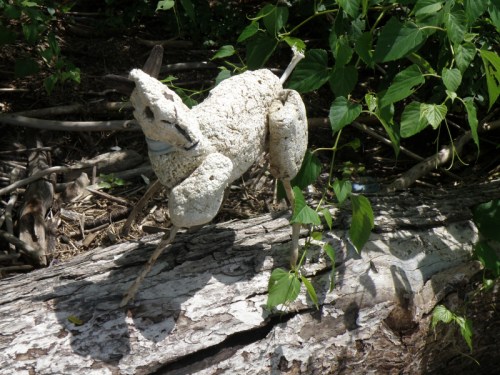 Camelope reacting to an unfamiliar sound, Aug. 2013