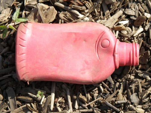 red plastic fish bottle, Falls of the Ohio, Sept. 2013