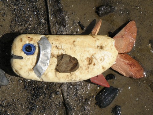 Silvergill, Sept. 2013, Falls of the Ohio