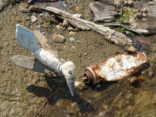Gross Blue Beak with corroded aerosol can, Falls of the Ohio, Sept. 2013