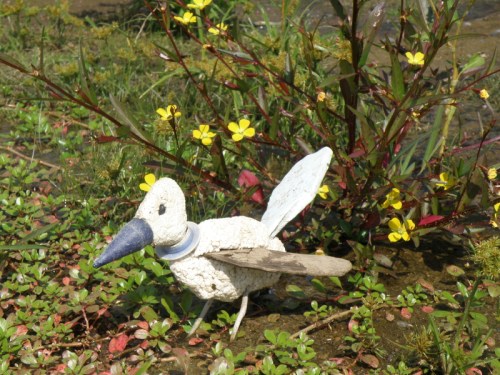 Gross Blue Beak and flowering plants, Falls of the Ohio, Sept. 2013