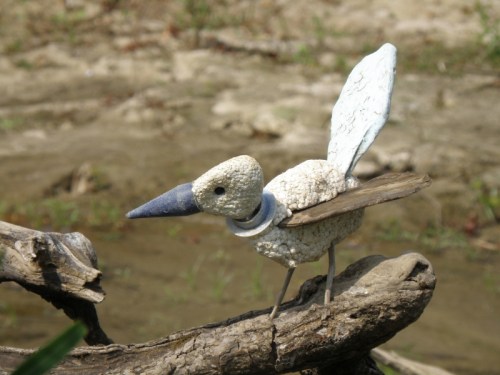 portrait of a Gross Blue Beak at the Falls of the Ohio, Sept. 2013