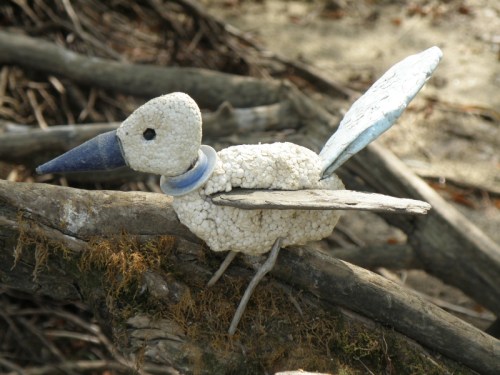 Gross Blue Beak at the Falls of the Ohio, Sept. 2013