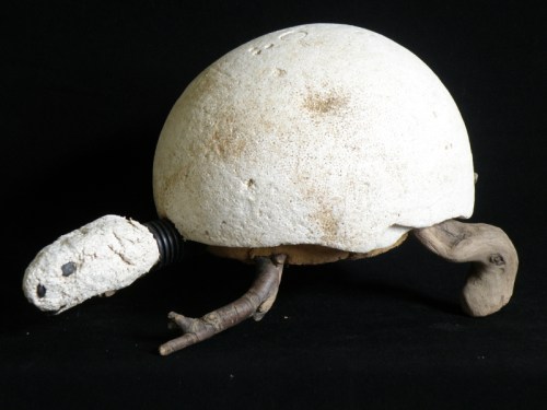 Albertus Gorman's "Cottonwood Turtle", found Styrofoam and wood, Falls of the Ohio